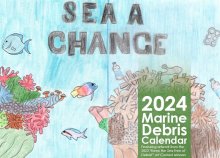 MS Student Art selected for NOAA Calendar