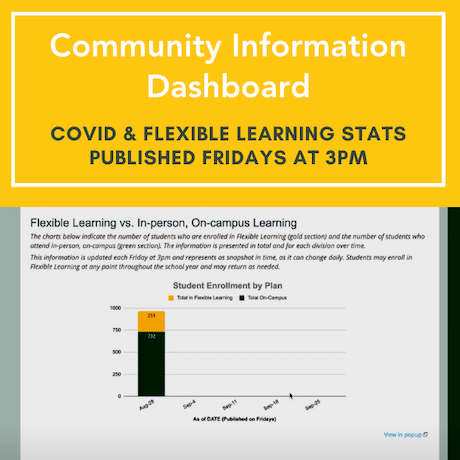 Community Information Dashboard 