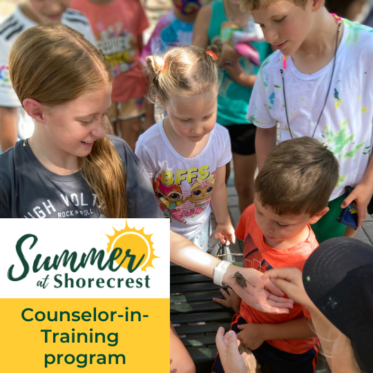 Introducing: CIT Program for Summer at Shorecrest