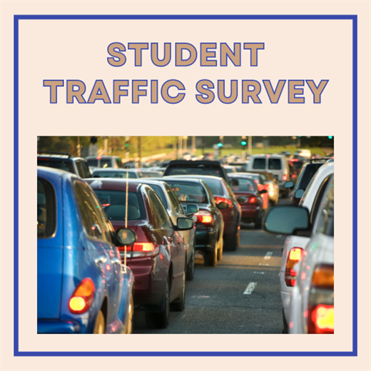 Student Traffic Survey