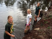 Science Classes Plant Mangrove Propagules in Channel