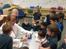 First grade learns the parts of the eye